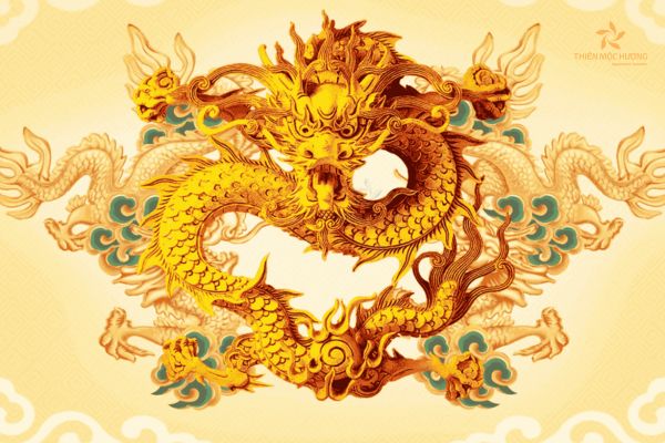 Năm 2024 là con gì? Năm 2024 có nhuận không? 9 nam-2024-con-gi