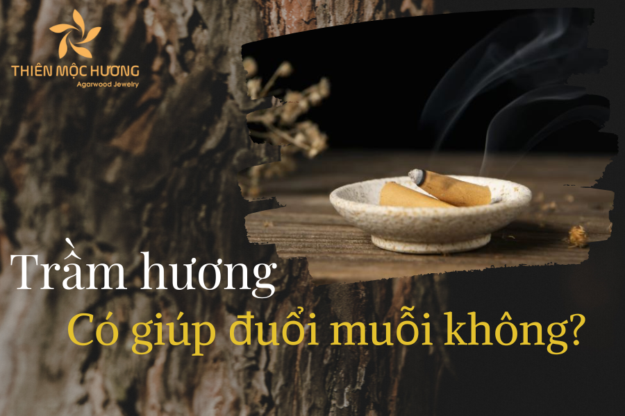 Nụ trầm hương có tác dụng gì? Lợi ích khi dùng nụ trầm đốt